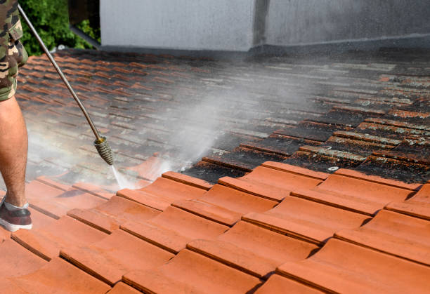 Best Residential Pressure Washing Services  in Helena West Side, MT